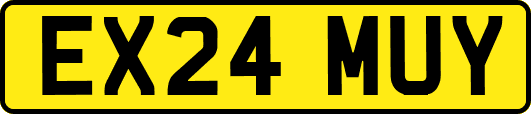 EX24MUY