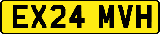EX24MVH