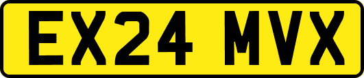 EX24MVX