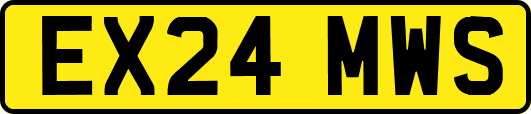 EX24MWS