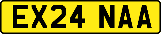 EX24NAA