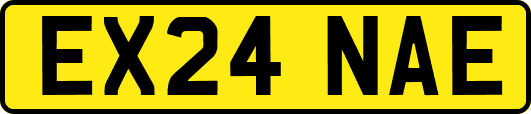 EX24NAE