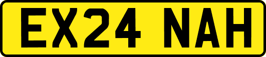 EX24NAH