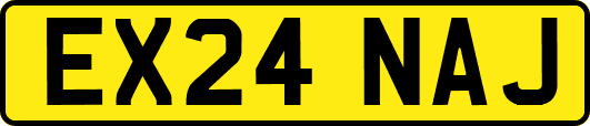 EX24NAJ