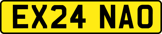 EX24NAO
