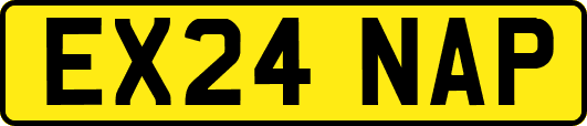 EX24NAP