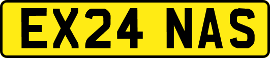 EX24NAS