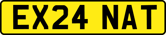 EX24NAT