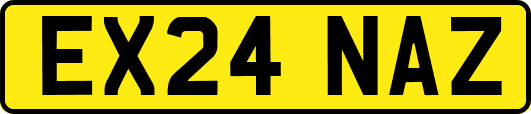 EX24NAZ