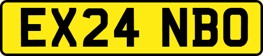 EX24NBO