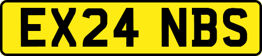 EX24NBS