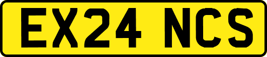 EX24NCS