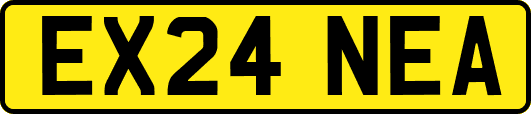 EX24NEA