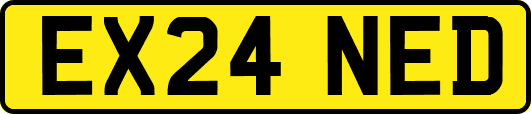 EX24NED