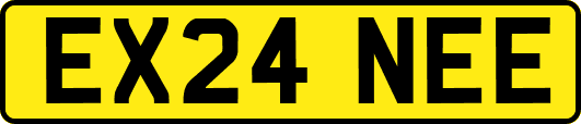 EX24NEE