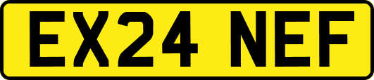 EX24NEF