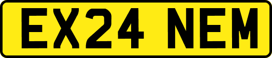 EX24NEM