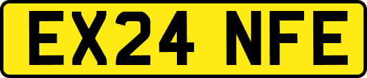 EX24NFE