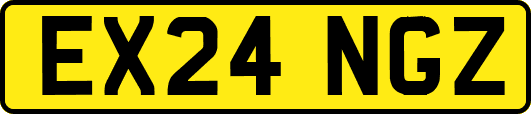EX24NGZ