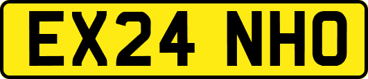 EX24NHO