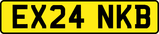 EX24NKB