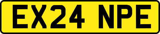 EX24NPE
