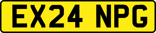 EX24NPG