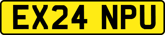 EX24NPU