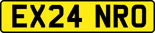 EX24NRO