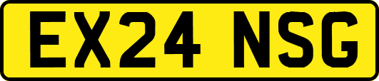 EX24NSG