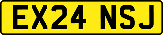 EX24NSJ
