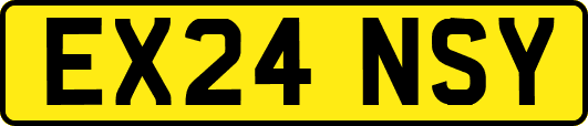 EX24NSY
