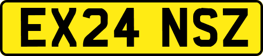 EX24NSZ