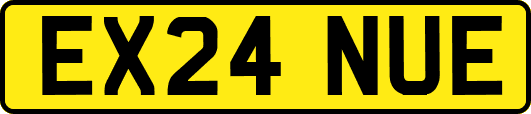 EX24NUE