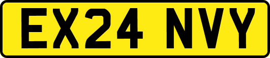 EX24NVY