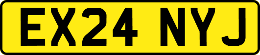 EX24NYJ