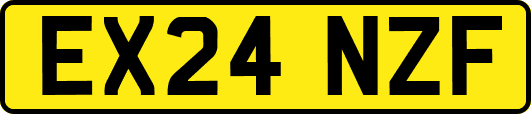 EX24NZF