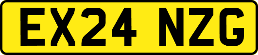 EX24NZG