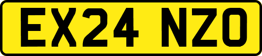EX24NZO