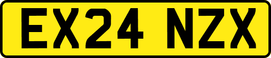 EX24NZX