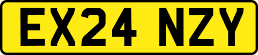EX24NZY