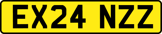 EX24NZZ