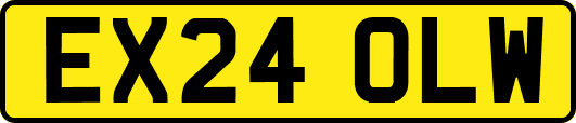 EX24OLW