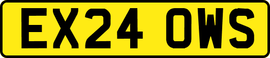EX24OWS