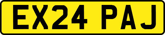 EX24PAJ