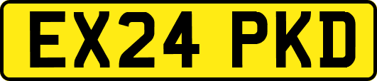 EX24PKD