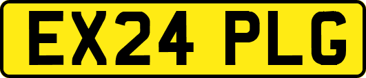 EX24PLG