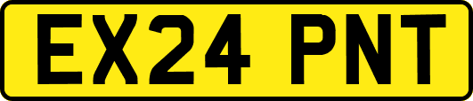 EX24PNT
