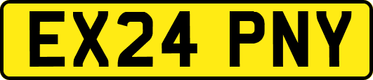 EX24PNY