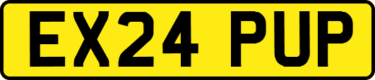 EX24PUP